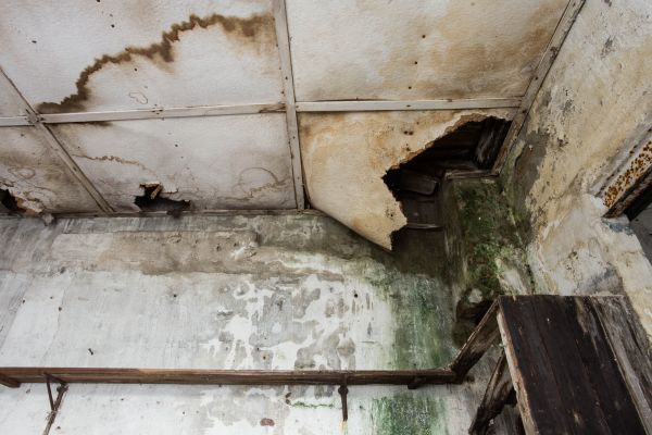 Cost of Water Damage Service in Redlands