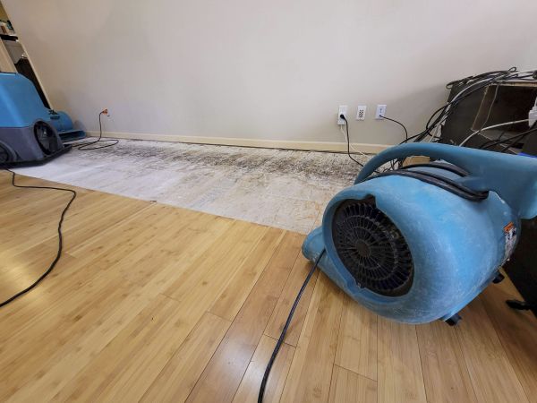 Cost of Water Damage Mitigation in Redlands