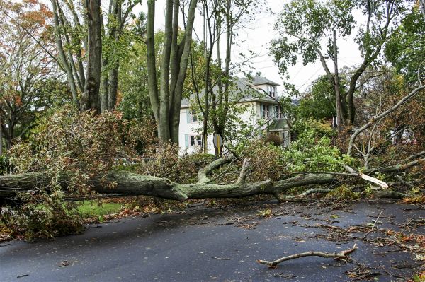 Cost of Tornado Damage Repair in Redlands