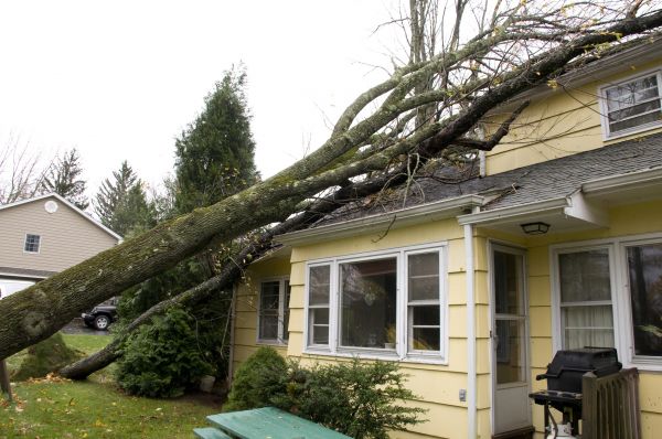 Cost of Hurricane Damage Repair in Redlands